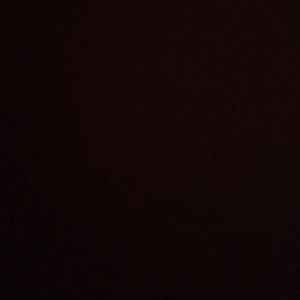 Meet your Posher, Shelbie