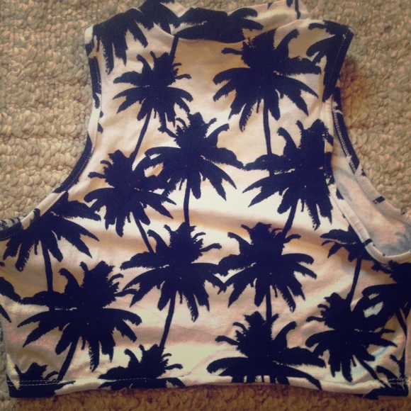 Charlotte Russe crop top. - Picture 1 of 2