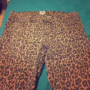 Gianni Bini size 11 cheetah print pants