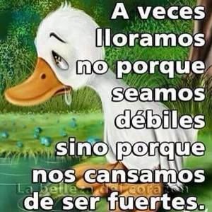 Meet your Posher, Robles