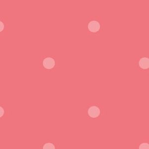 Meet your Posher, Aida