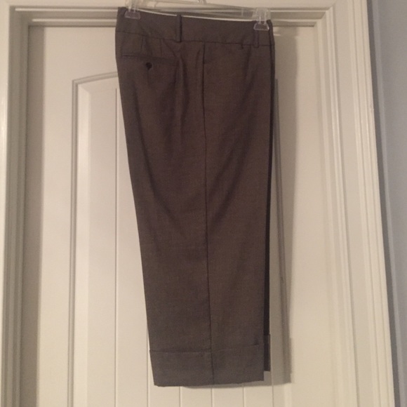 Ankle length pants