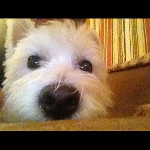 Meet your Posher, Patti