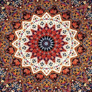 Meet your Posher, Zoe