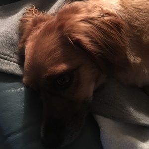 Meet your Posher, Vicki