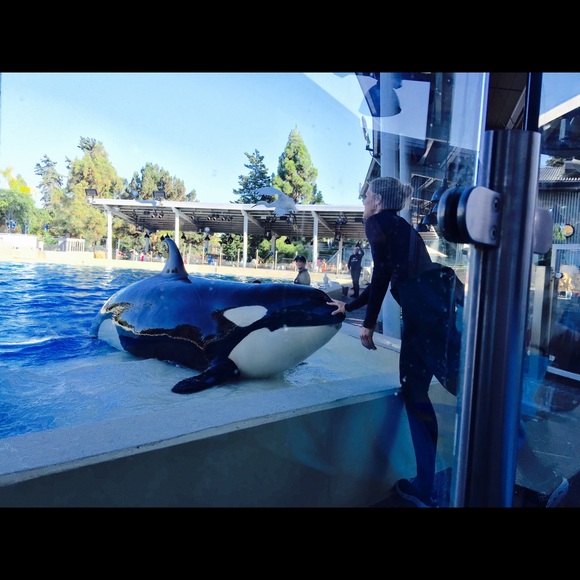 Meet your Posher, Castle - Picture 4 of 6