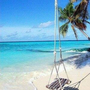 Meet your Posher, Tami