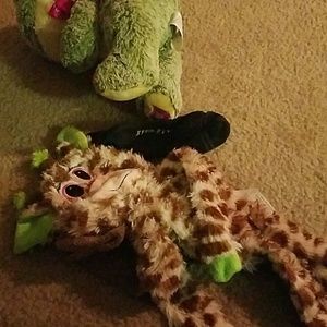 Meet your Posher, Rosalia