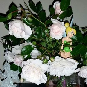 Meet your Posher, Dale