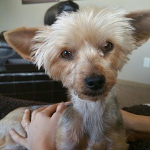 Meet your Posher, Julia