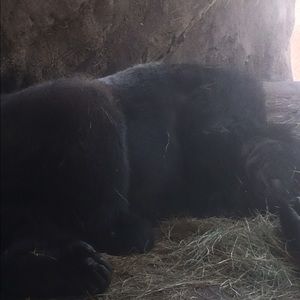 Meet your Posher, Ethan