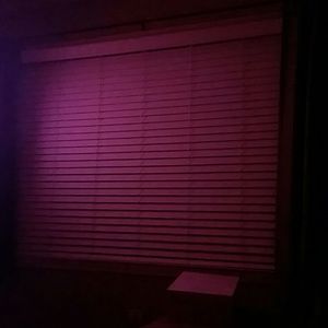 Meet your Posher, Wilbert