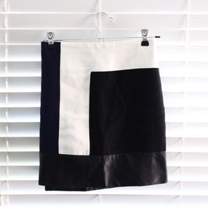 Zara Color Block Skirt