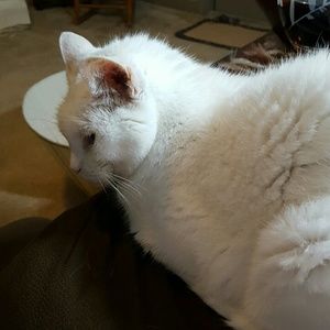 Meet your Posher, Vickie