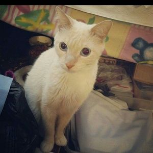 Meet your Posher, Melissa