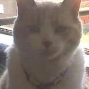 Meet your Posher, Barb