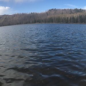 Meet your Posher, Ethan