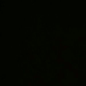 Meet your Posher, Oriana