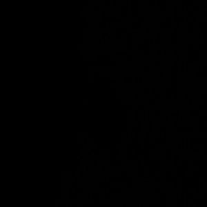 Meet your Posher, Chelsey