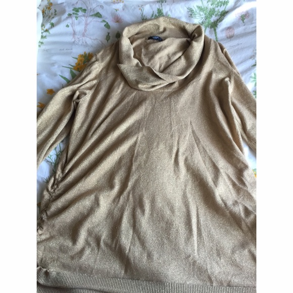 Sparkle Cowl Neck Tunic ✨