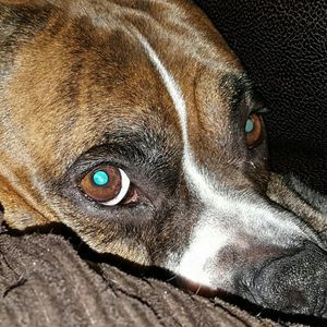 Meet your Posher, Caitlyn