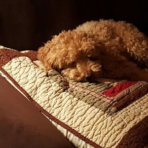 Meet your Posher, Kathy