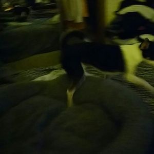 Meet your Posher, Terry