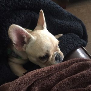 Meet your Posher, Ryan