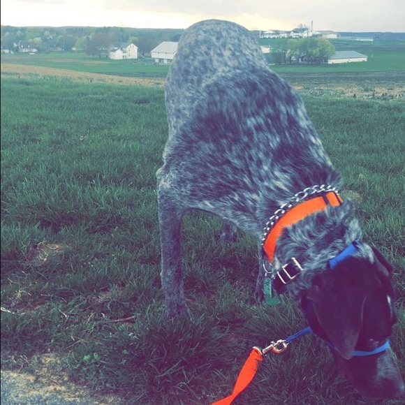 Read Description - image 1