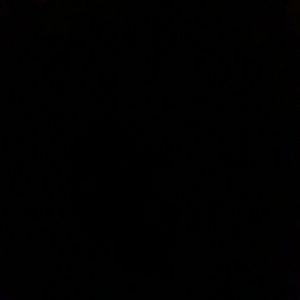 Meet your Posher, Liz see