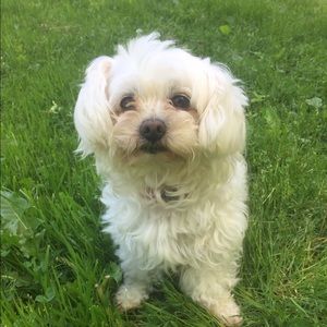 Meet your Posher, Troi