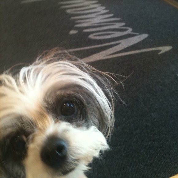 Meet your Posher, Nora - Picture 3 of 3