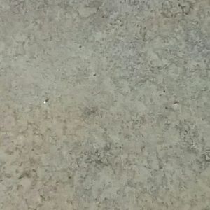 Meet your Posher, Teresa