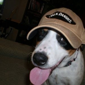 Meet your Posher, Regina