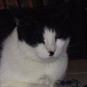 Meet your Posher, Linda