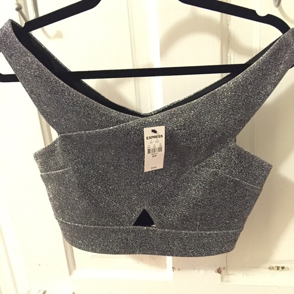 Silver Crop Top