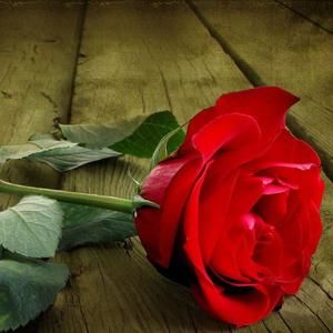 Meet your Posher, Renee