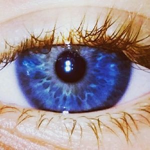 Meet your Posher, Deliliah