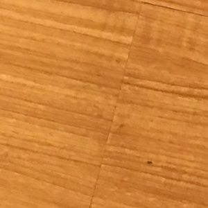 Meet your Posher, Brenda