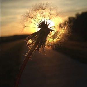 Meet your Posher, Eda