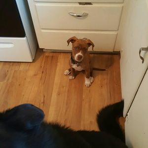 Meet your Posher, Regina