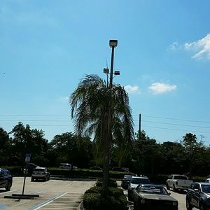 Meet your Posher, Fernanda