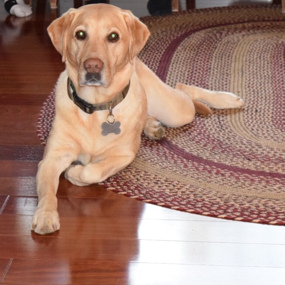 Meet your Posher, Michelle - Picture 2 of 2