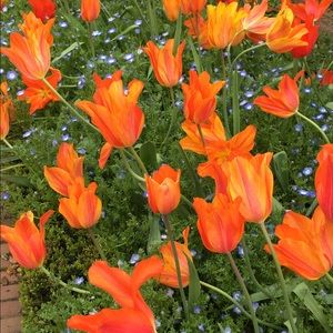 Meet your Posher, Ann