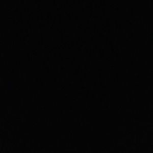 Meet your Posher, Anne