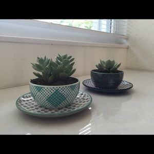 Meet your Posher, Leigh ann