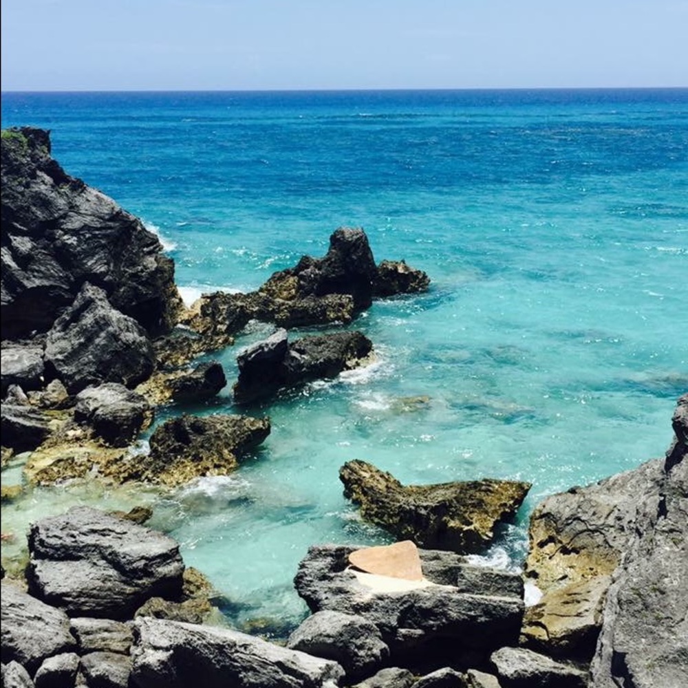 Meet your Posher, Jess