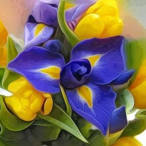 Meet your Posher, Jerri