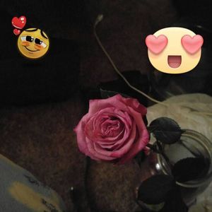 Meet your Posher, Robin