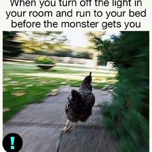 Meet your Posher, Lala